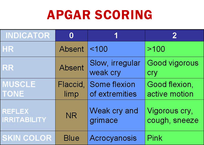 Apgar Score Calculator Keep Vitality