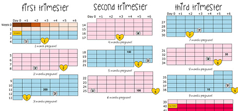 Pregnancy Week by Week Calendar Keep Vitality