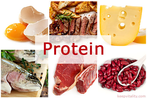 Protein sources