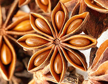 Anise seed