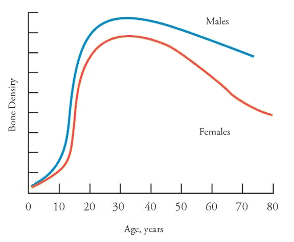 Bone Density Graph