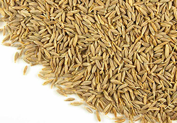 Cumin seed