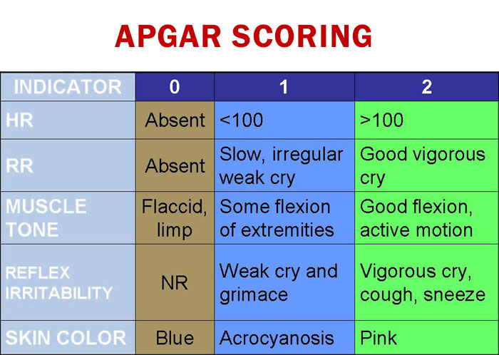 Apgar scoring